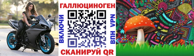 нарко площадка состав  Гороховец  Галлюциногенные грибы мицелий 